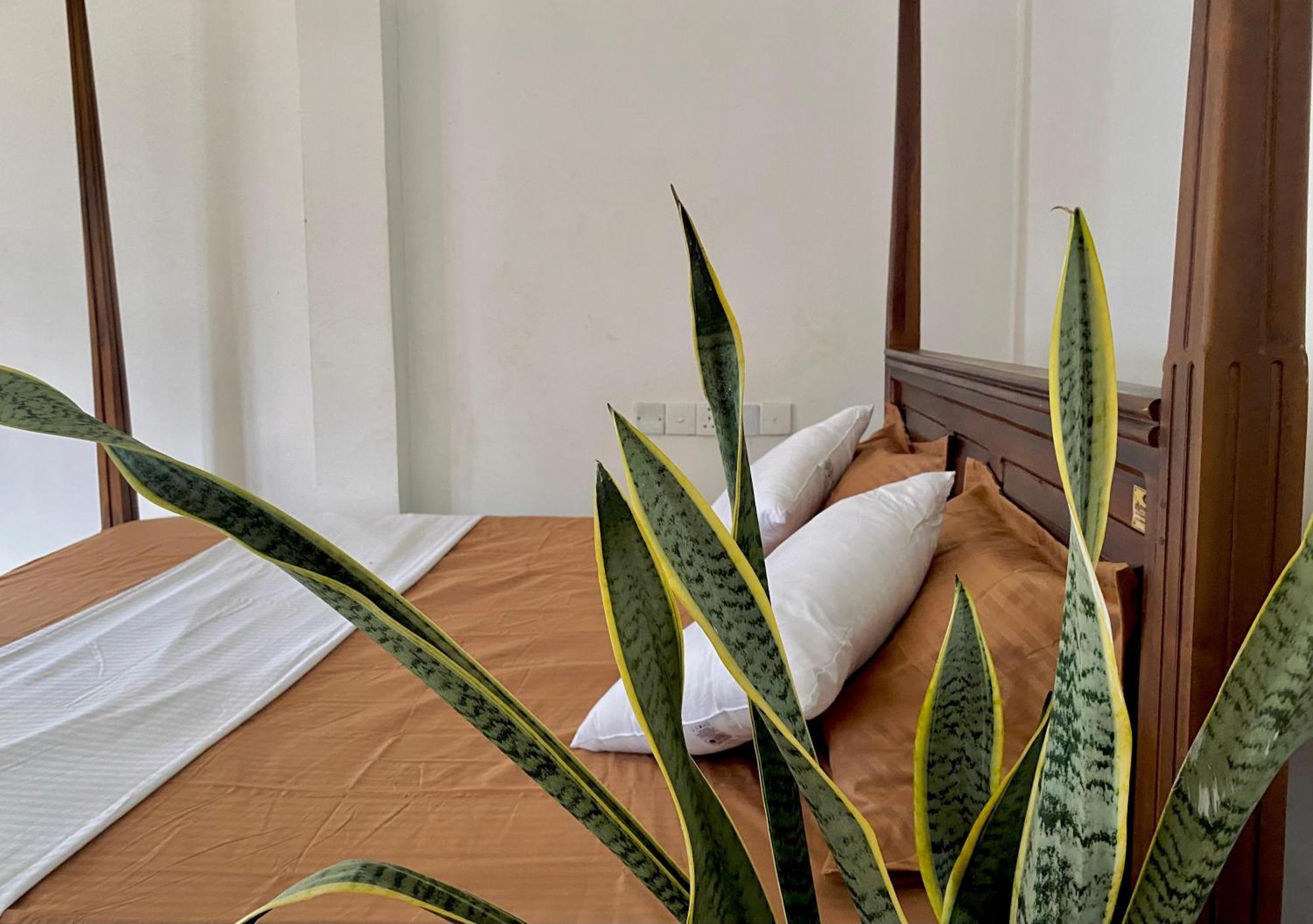 Sasmika Villa Surf And Yoga Hostel Weligama Dış mekan fotoğraf