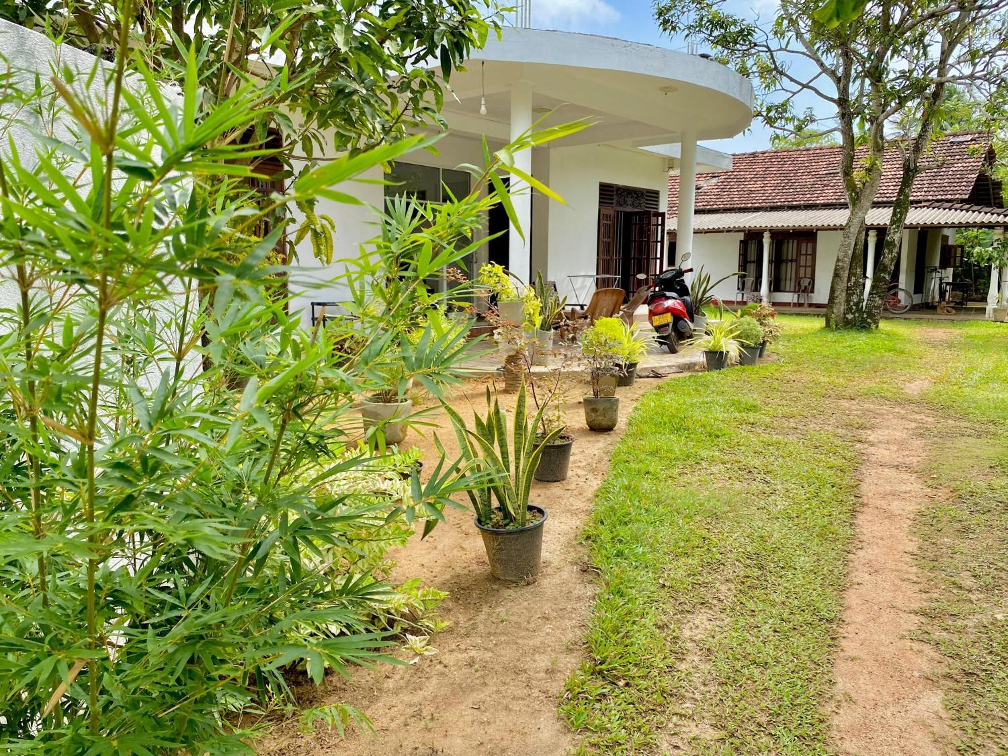 Sasmika Villa Surf And Yoga Hostel Weligama Dış mekan fotoğraf