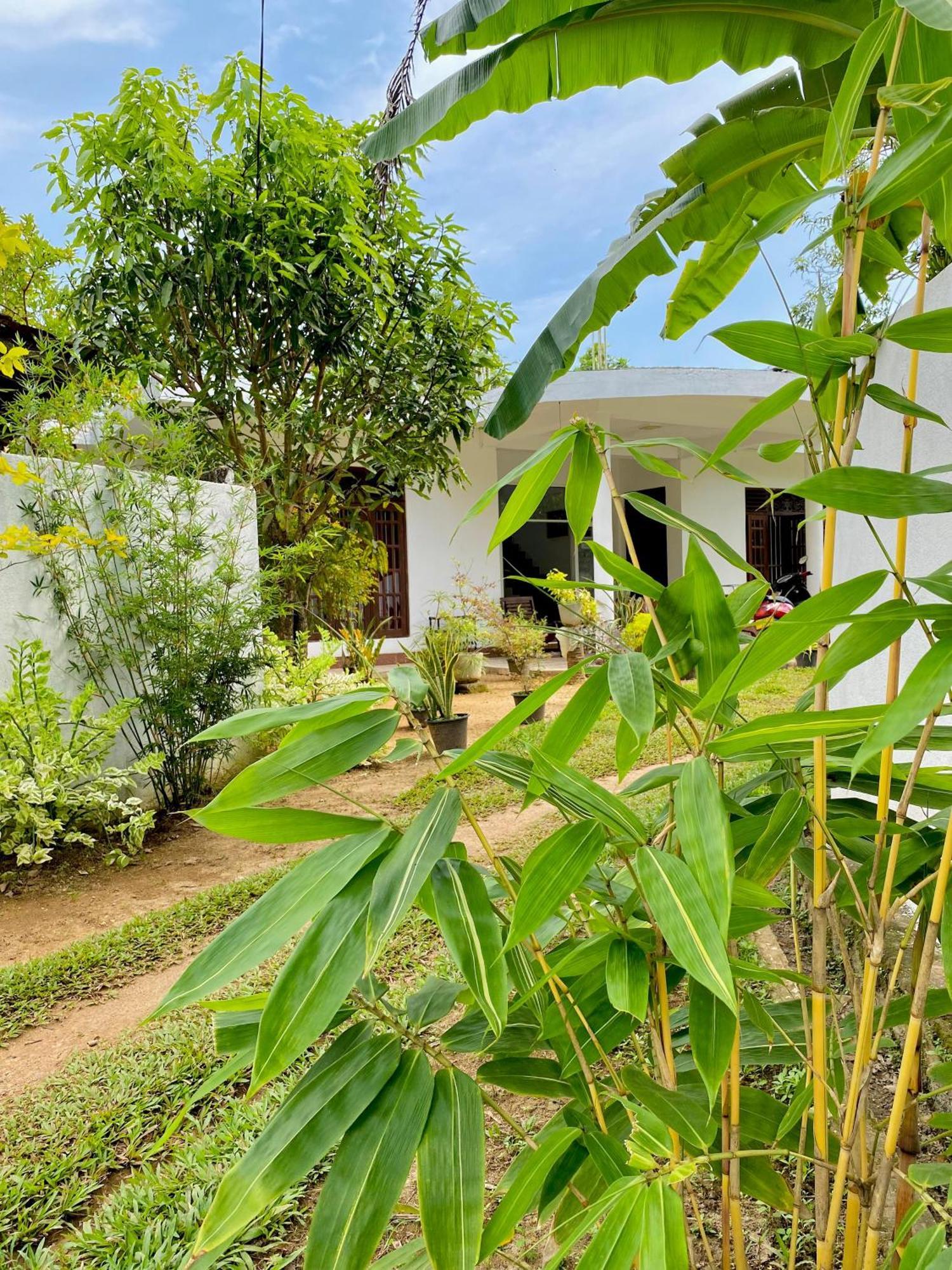 Sasmika Villa Surf And Yoga Hostel Weligama Dış mekan fotoğraf